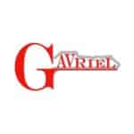 gavriel_logo